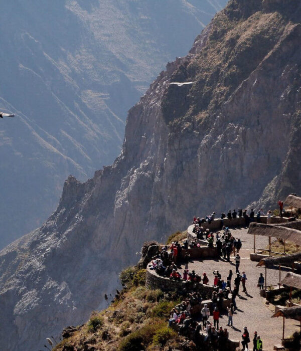 Colca Canyon 2 Days/ 1 Night