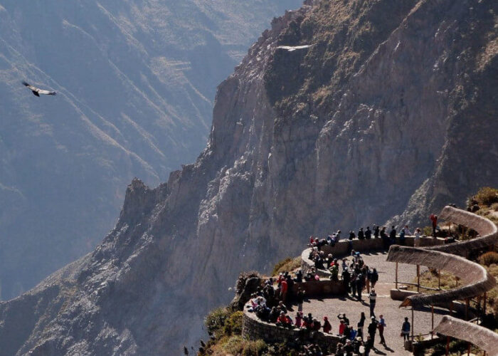 Colca Canyon 2 Days/ 1 Night