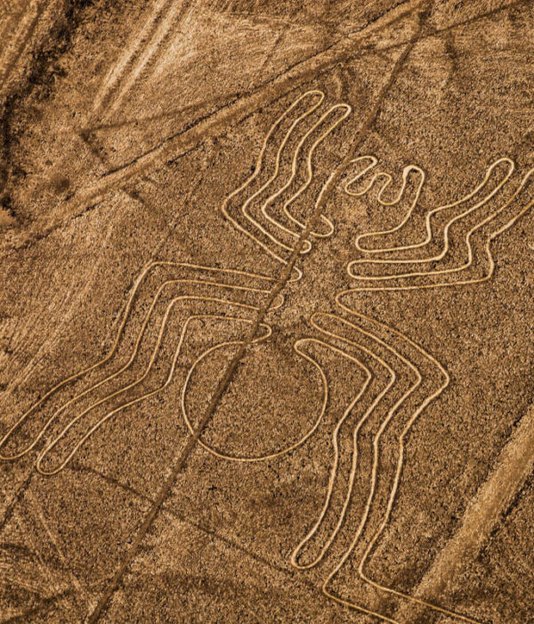 Over Nazca Flight 12 Geoglyphs 30 Minutes