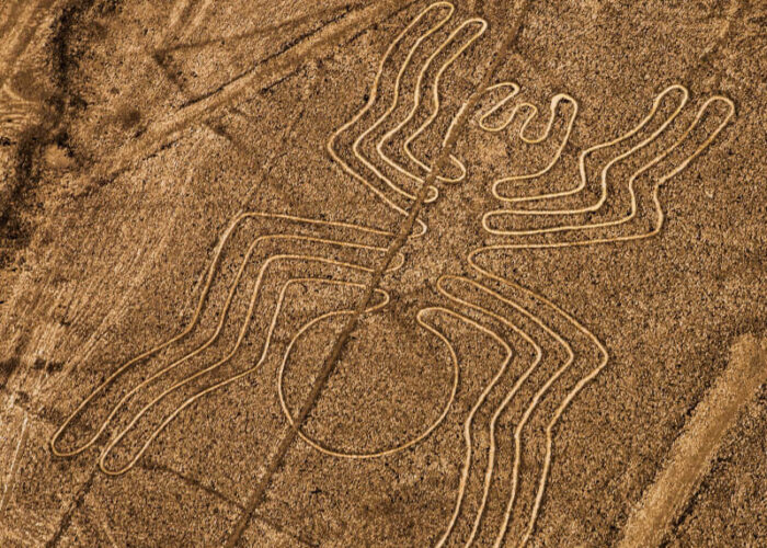 Over Nazca Flight 12 Geoglyphs 30 Minutes